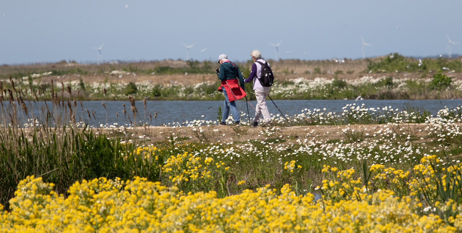 Een bijzonder mooie dag op de Marker Wadden