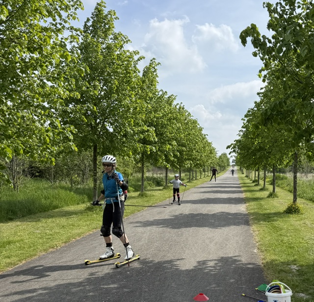 Rolskitrainingen en -tochten