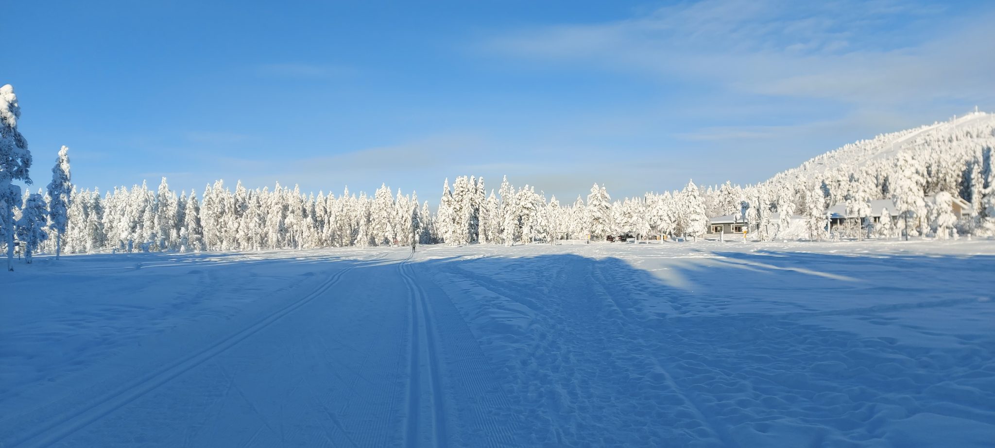 De mooiste foto’s in de sneeuw