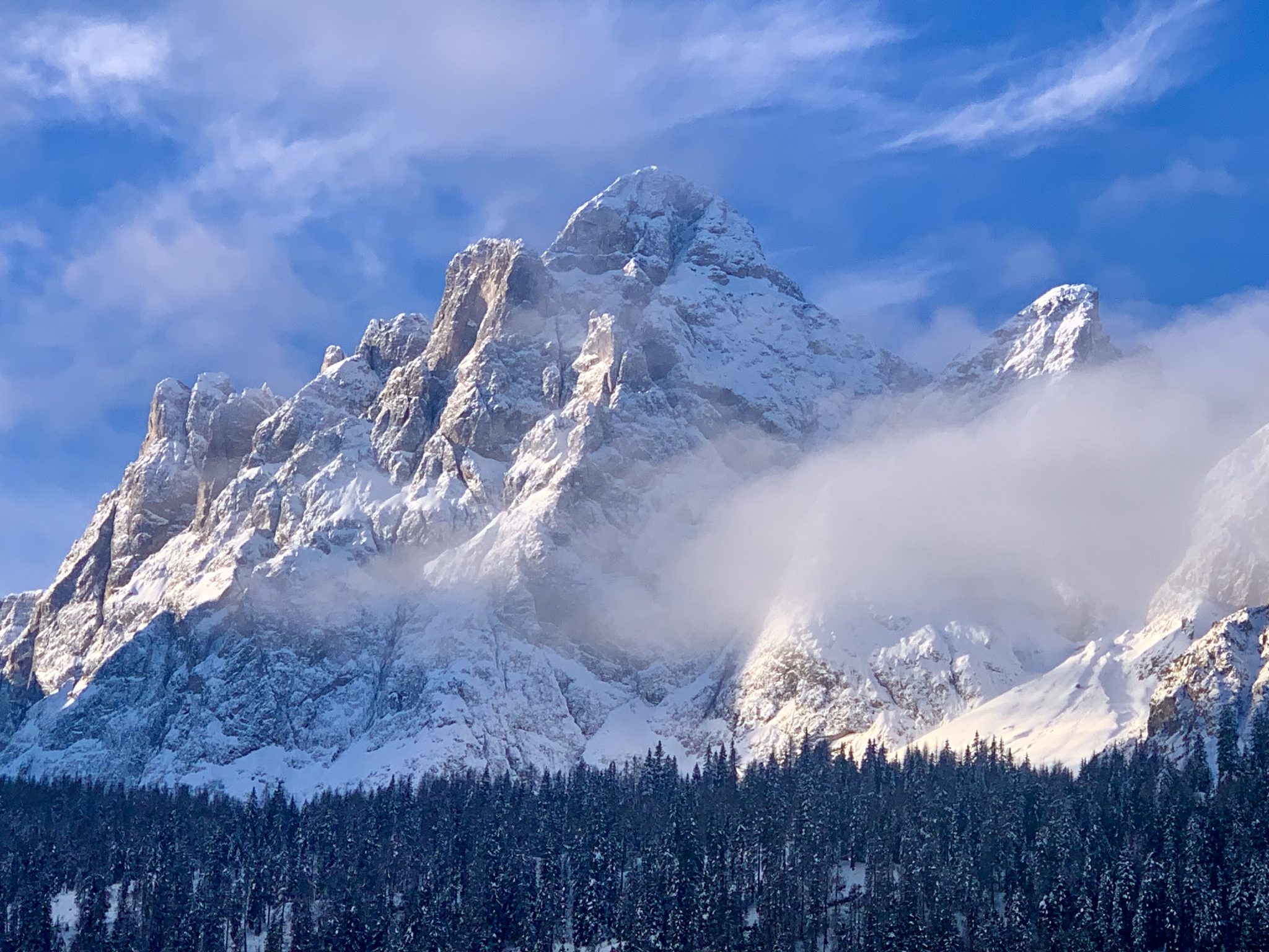 De mooiste foto’s in de sneeuw